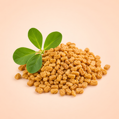 Wild Yam
