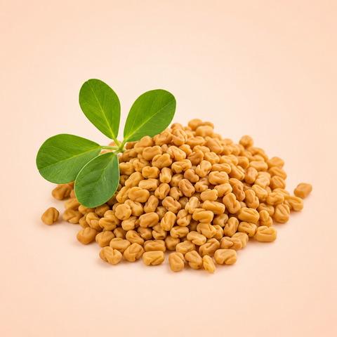 Maca Root